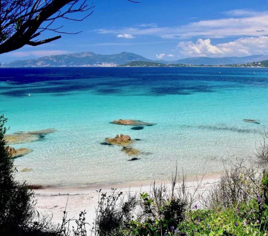 Nouveaute! Magnifique Villa A 2 Minutes Des Plus Belles Plages De La Rive Sud Porticcio  Esterno foto